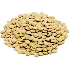 عدس فله 1 کیلو گرمی